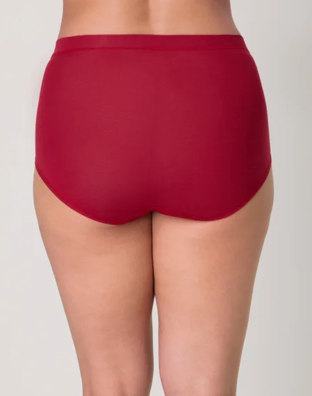 Bali Breathe Cotton Modal Lace High Rise Brief