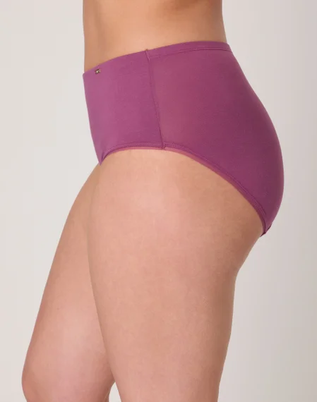 Bali Lux Underwear Brief, Light Tummy Support, Cotton Essentials, Moisture Wicking <br> 4 Bali Lux Underwear Brief, Light Tummy Support, Cotton Essentials, Moisture Wicking <br>