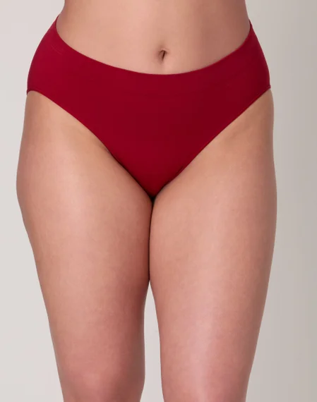 One Smooth U All-Around Smoothing Hi-Cut Panty