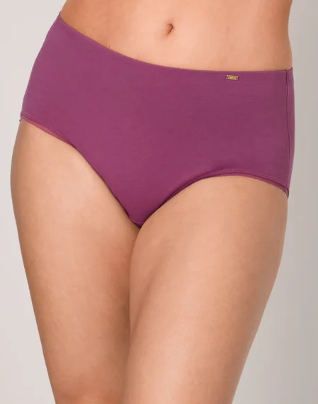 Bali Lux Cotton Essentials Hipster Underwear