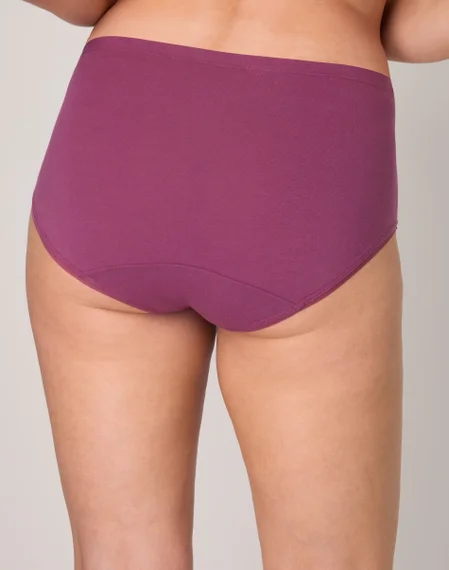 Bali Lux Cotton Essentials Hipster Underwear